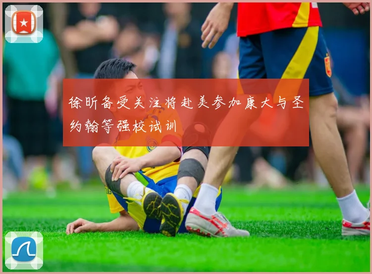 徐昕备受关注将赴美参加康大与圣约翰等强校试训