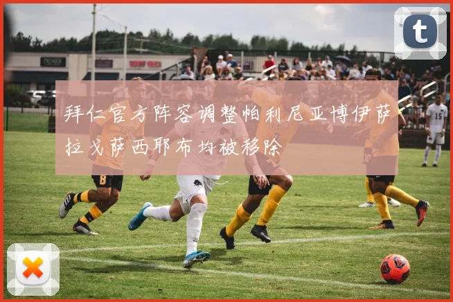 拜仁官方阵容调整帕利尼亚博伊萨拉戈萨西耶布均被移除